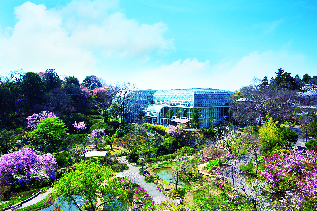 高知_高知県立牧野植物園_遊び・体験_1