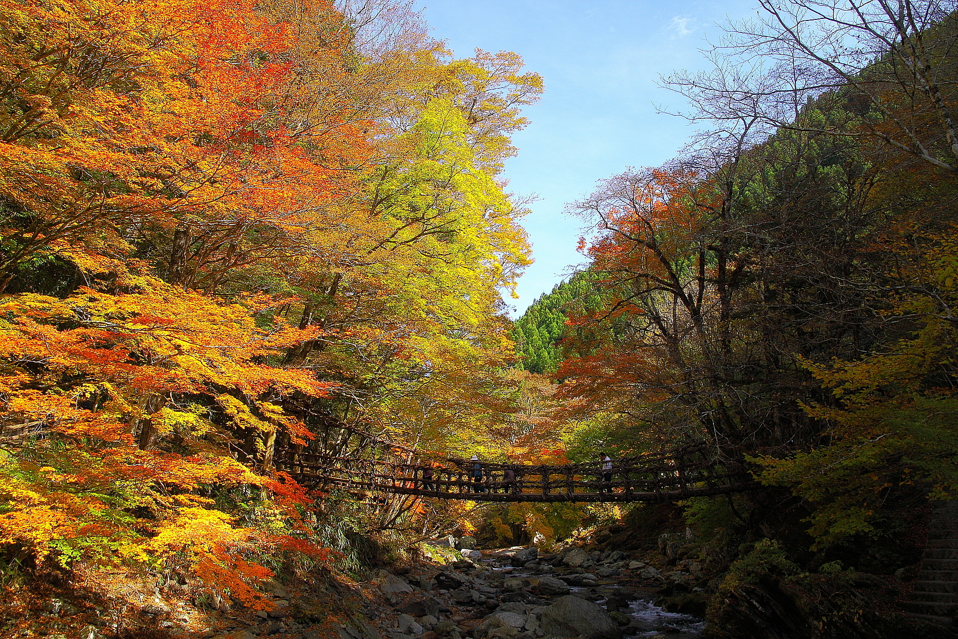 徳島_祖谷のかずら橋_遊び・体験_1