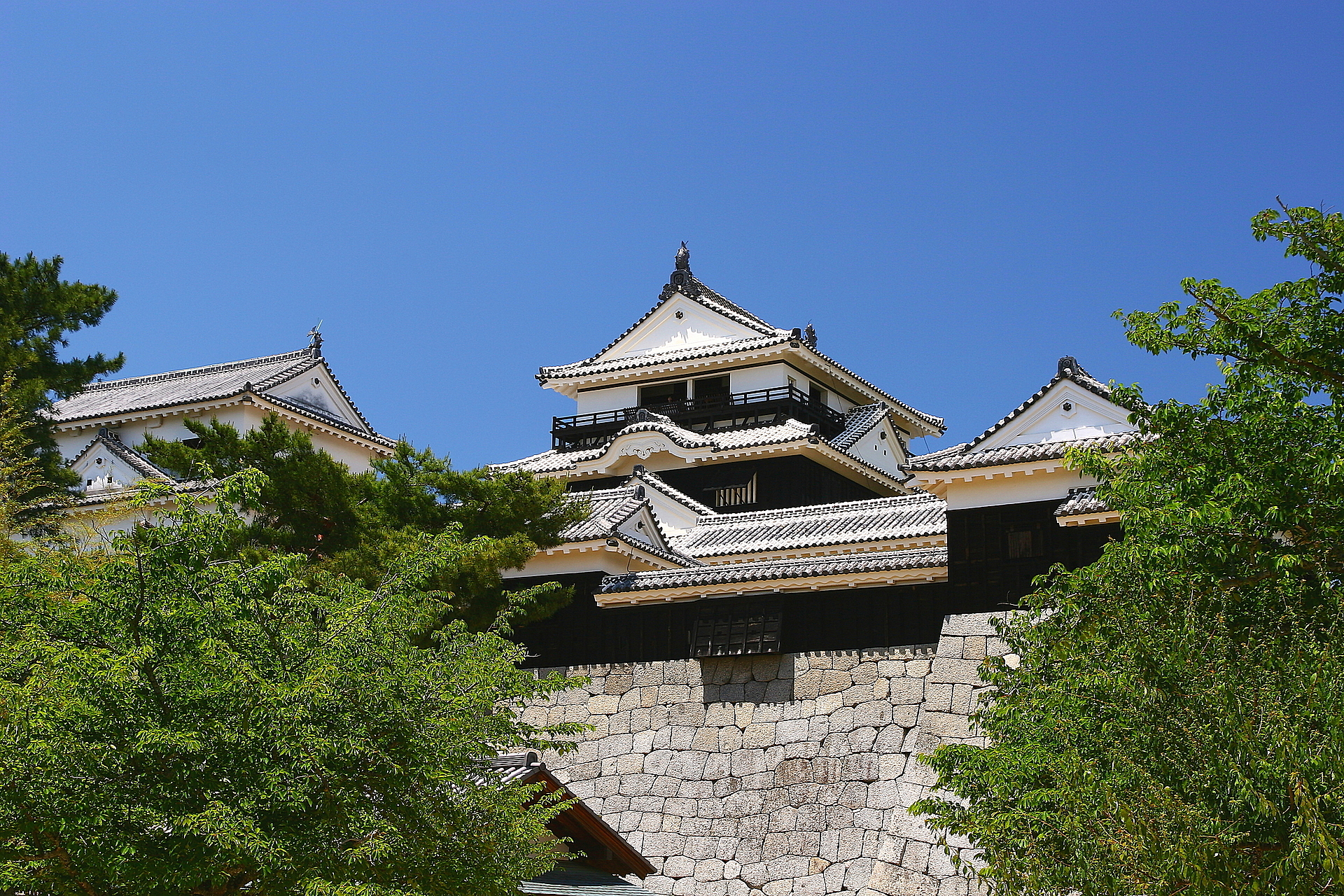 愛媛_松山城_遊び・体験_1