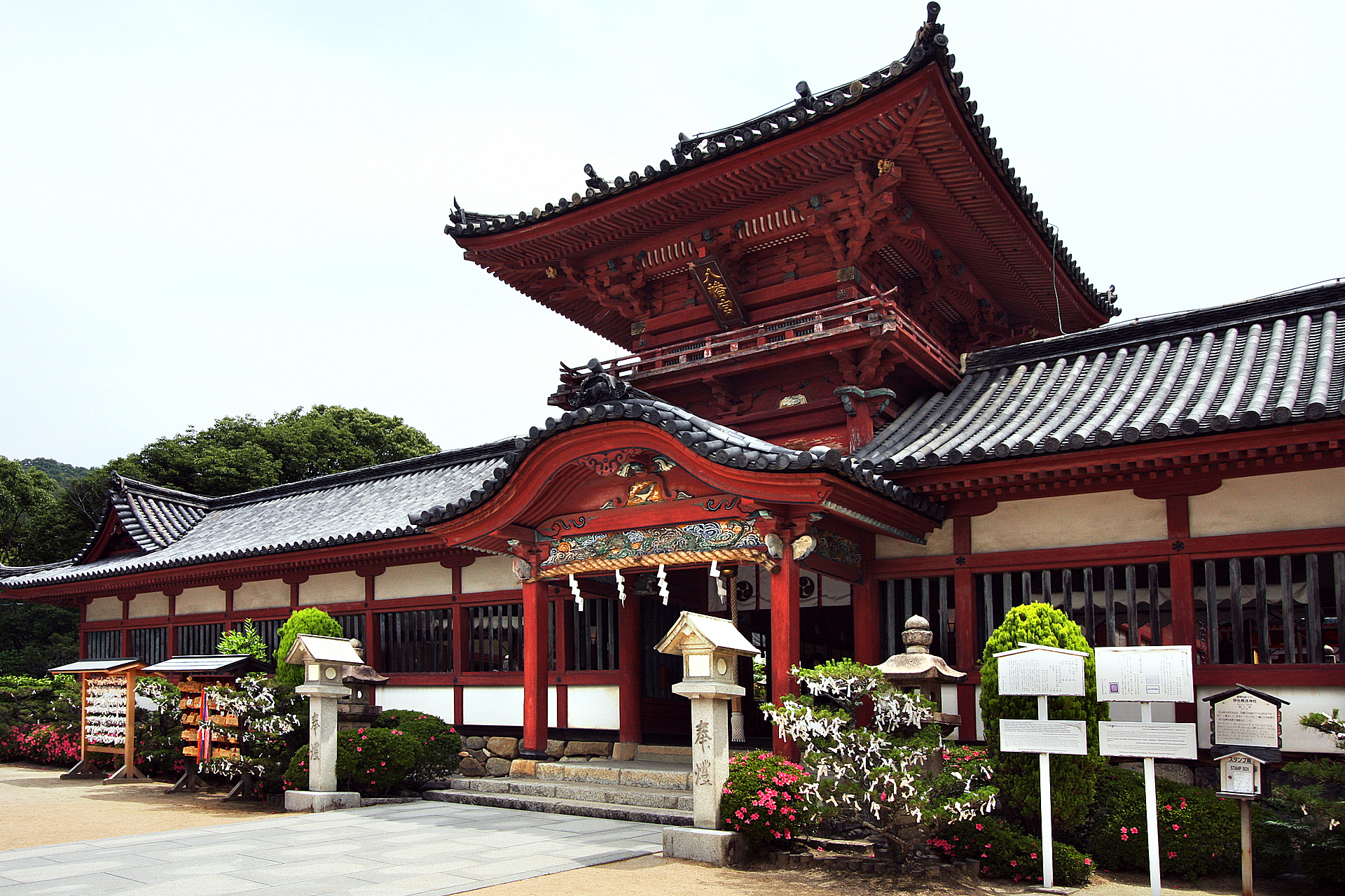 愛媛_伊佐爾波神社_遊び・体験_1