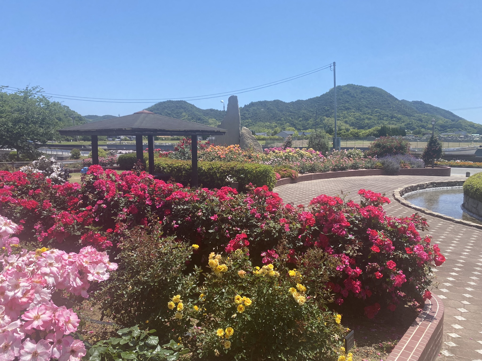 愛媛_よしうみバラ公園_遊び・体験_1