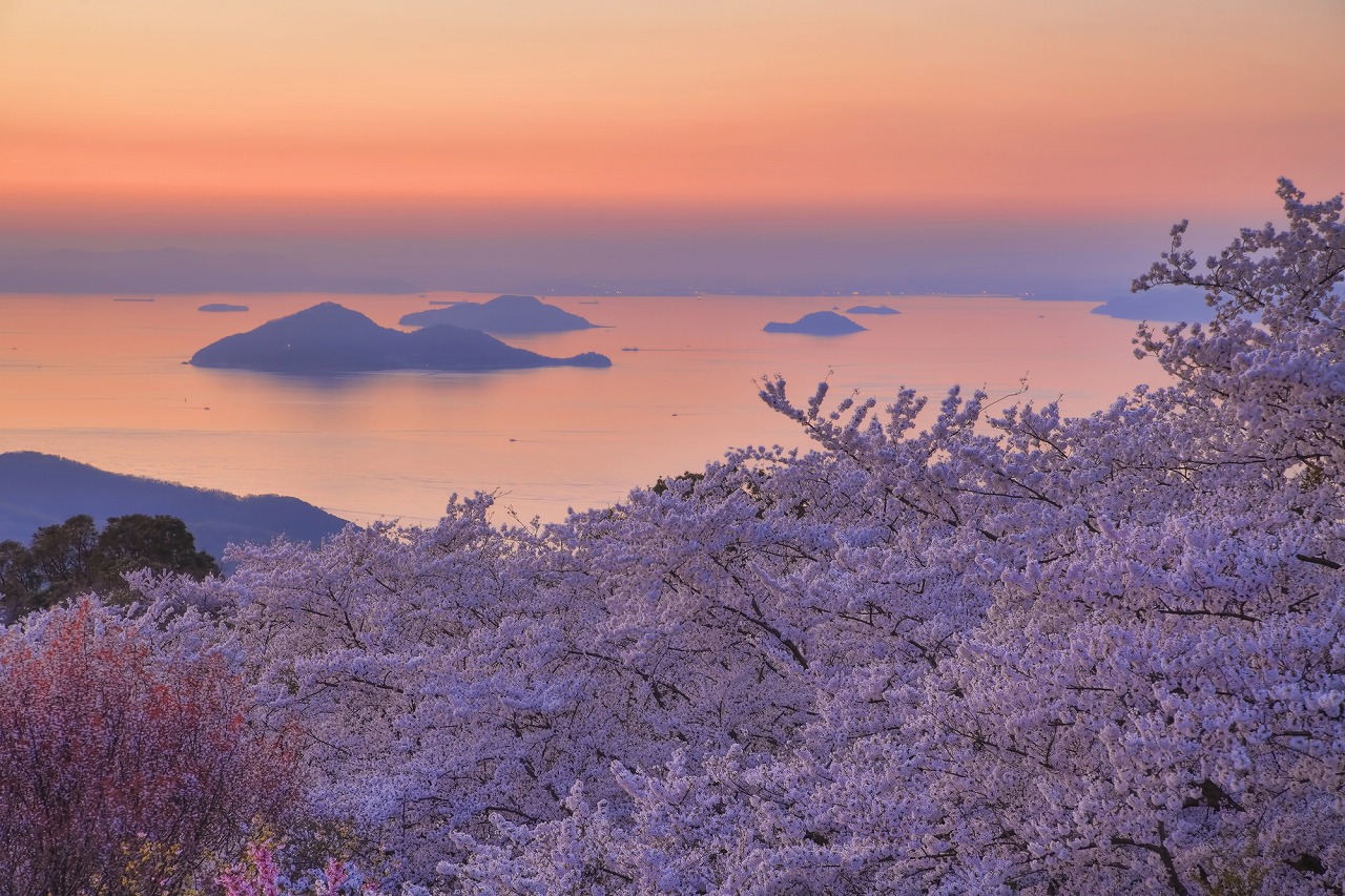 香川_紫雲出山_遊び・体験_1