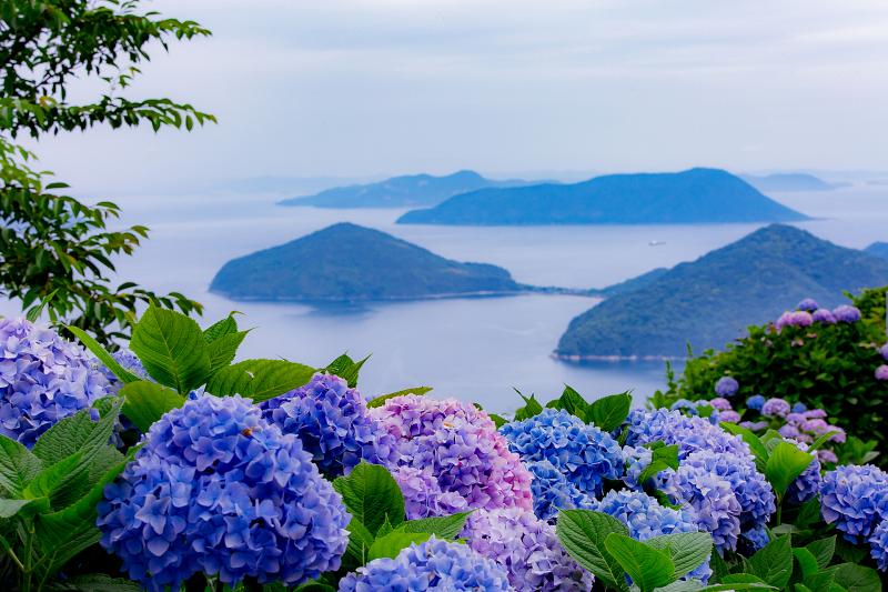 香川_紫雲出山_遊び・体験_2