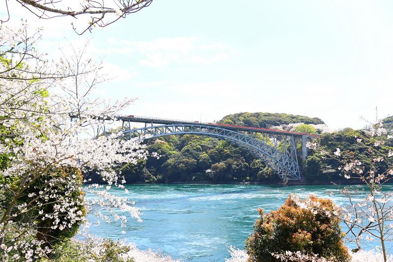 長崎_長崎県立西海橋公園_遊び・体験_1
