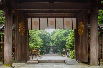 宮崎_宮崎神宮_遊び・体験_1