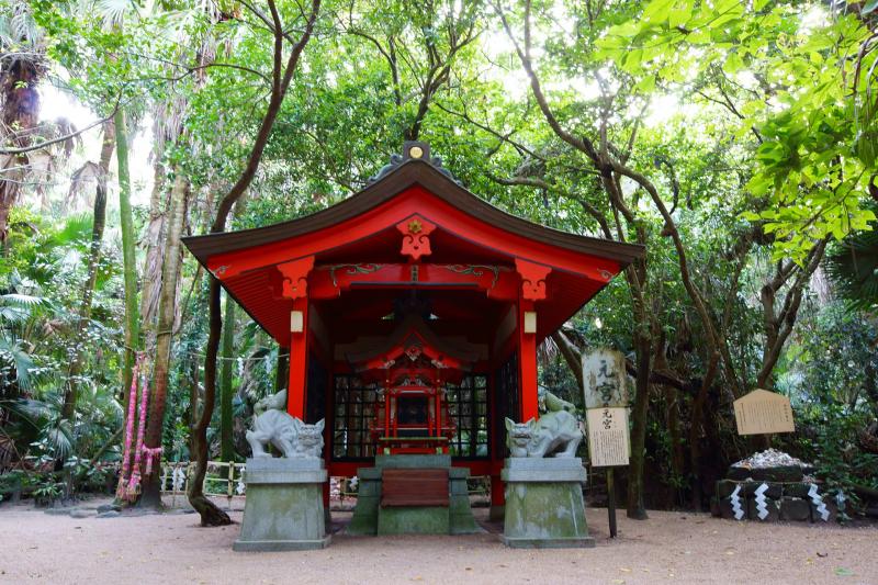 宮﨑_青島神社_遊び・体験_2