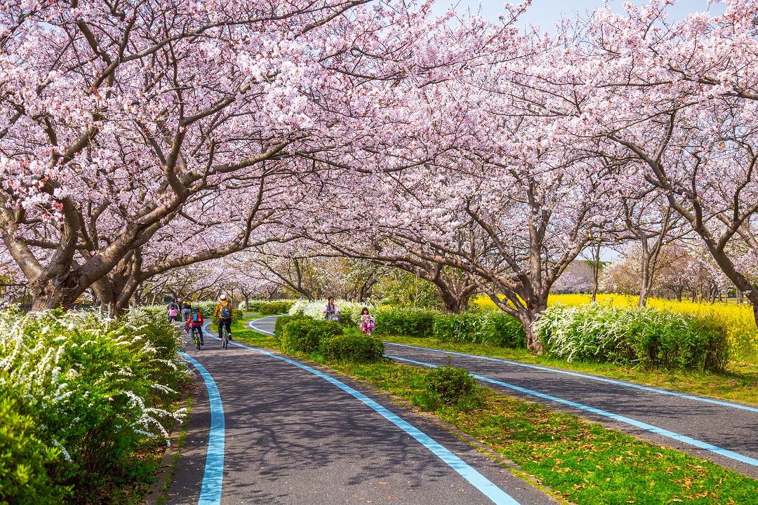 福岡_海の中道海浜公園_遊び・体験_1