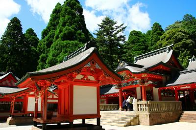 鹿児島_霧島神宮_遊び・体験_1