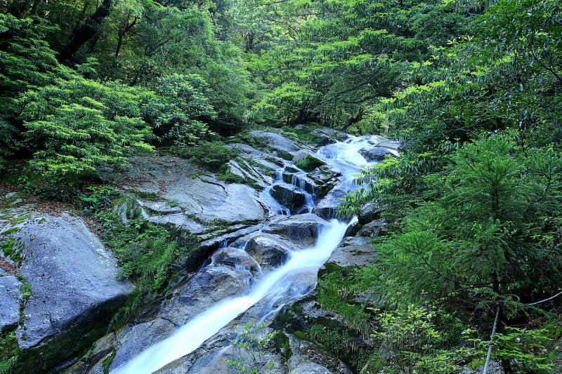 鹿児島_白谷雲水峡(宮之浦川)_遊び・体験_2