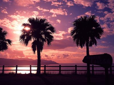 鹿児島_大浜海浜公園_遊び・体験_1