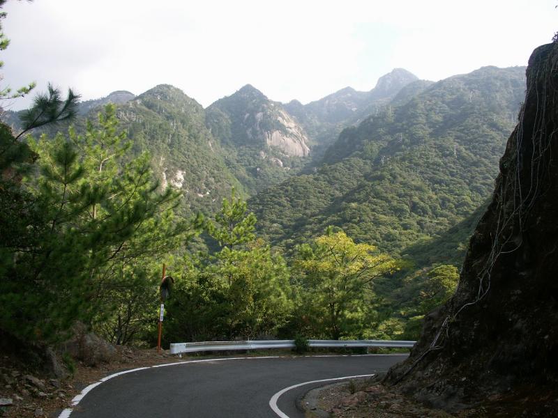 鹿児島_西部林道_遊び・体験_1