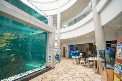 鹿児島_奄美海洋展示館_遊び・体験_1