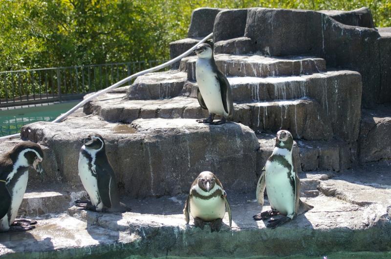 熊本_熊本市動植物園_遊び・体験_1
