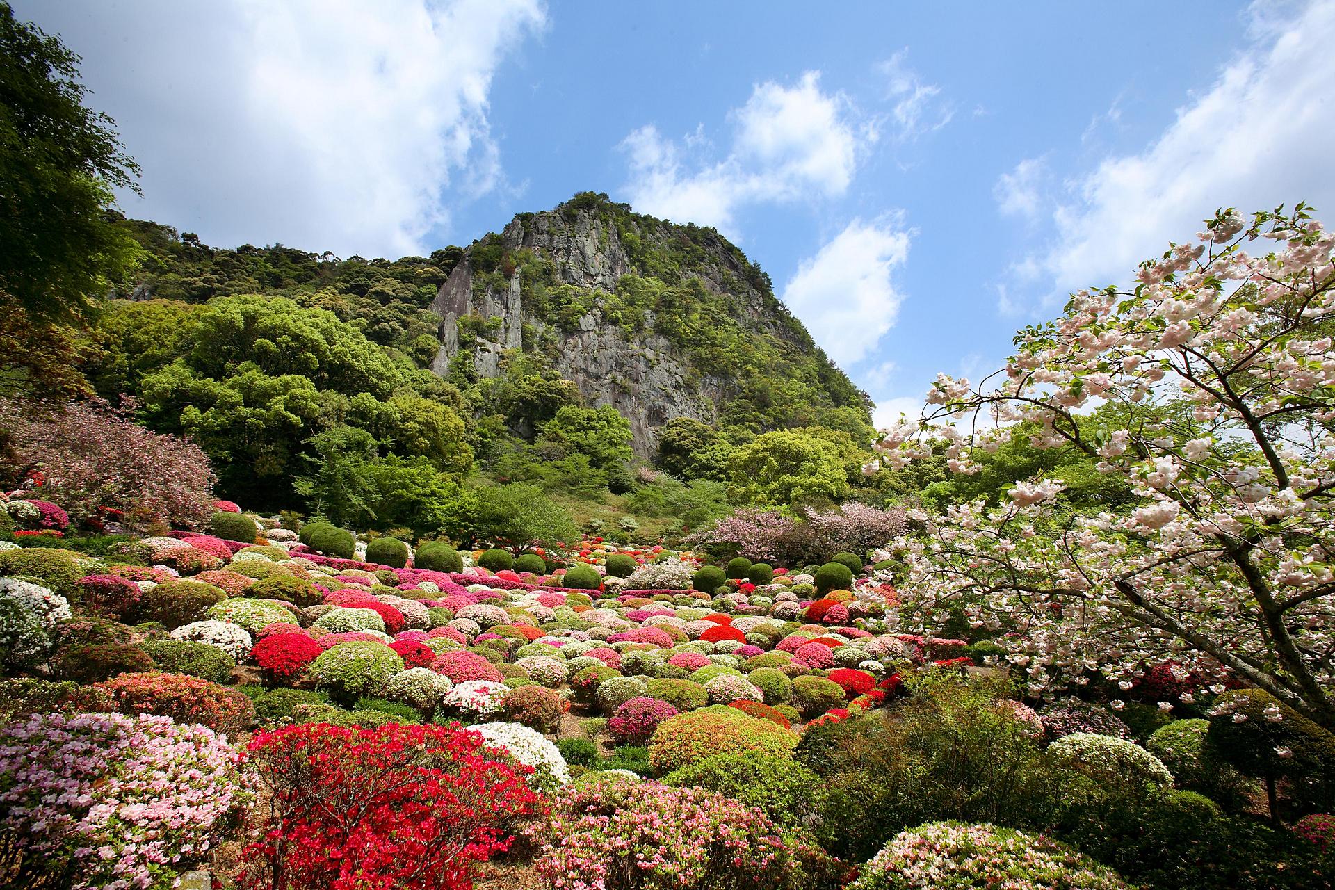 佐賀_御船山楽園_遊び・体験_1