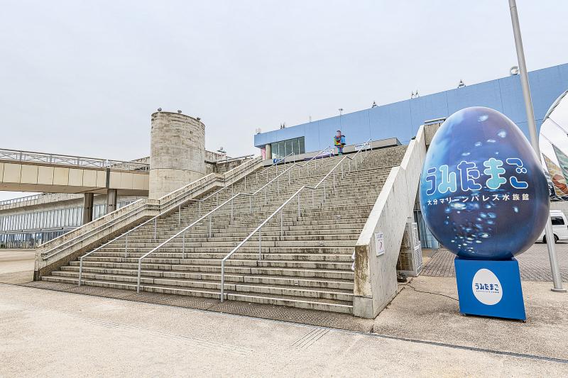 大分マリーンパレス水族館 うみたまご 観光 アクセス 営業時間 基本情報ガイド 大分県 大分市 トラベルコ