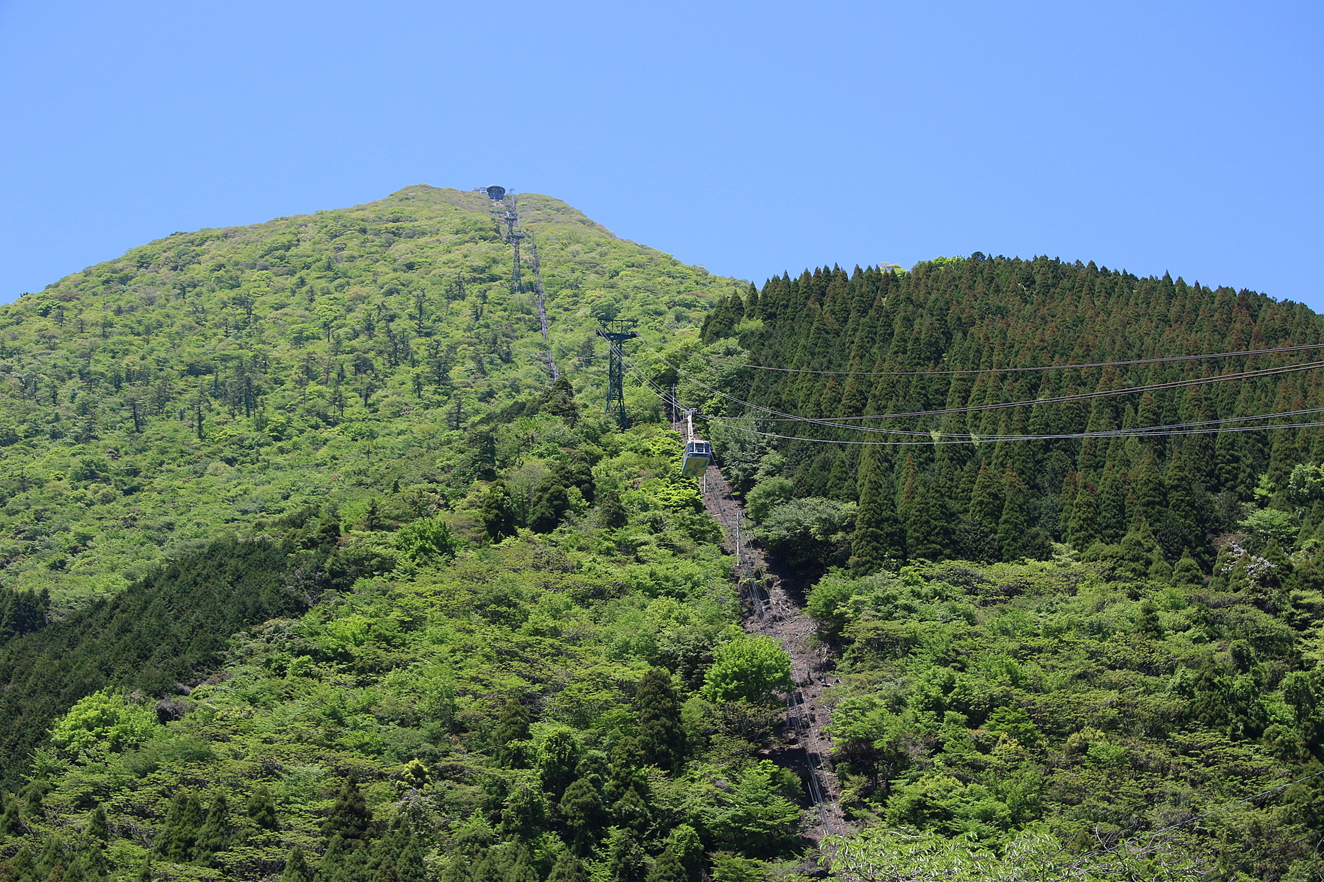 大分_鶴見岳_遊び・体験_1