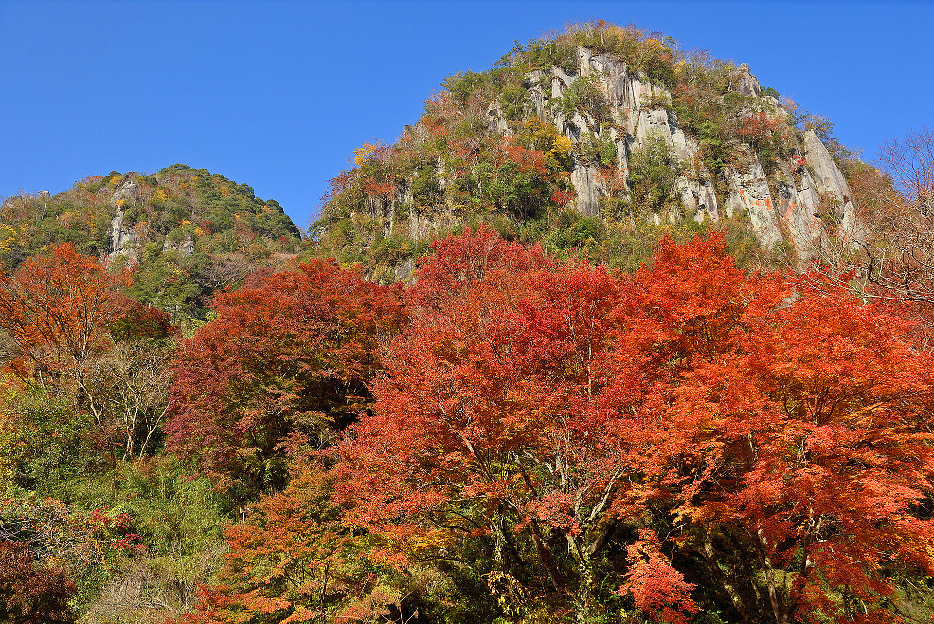 大分_深耶馬渓_遊び・体験_1