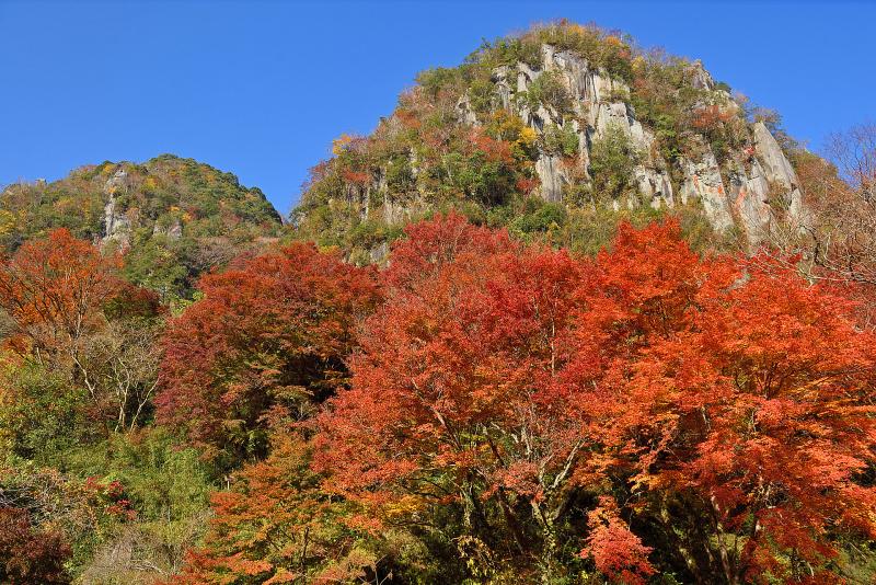 大分_深耶馬渓_遊び・体験_1