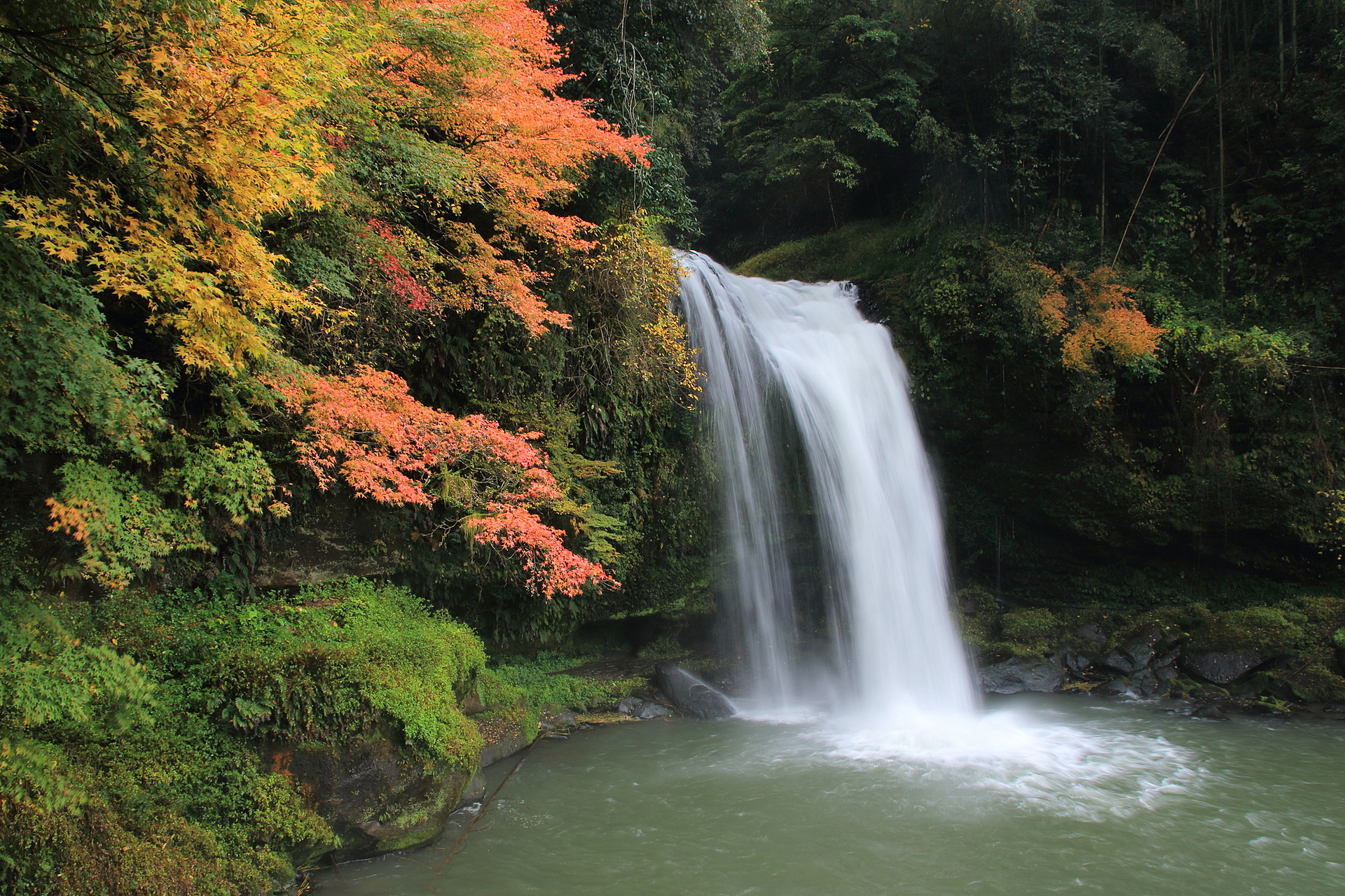 大分県_慈恩の滝_遊び・体験_1