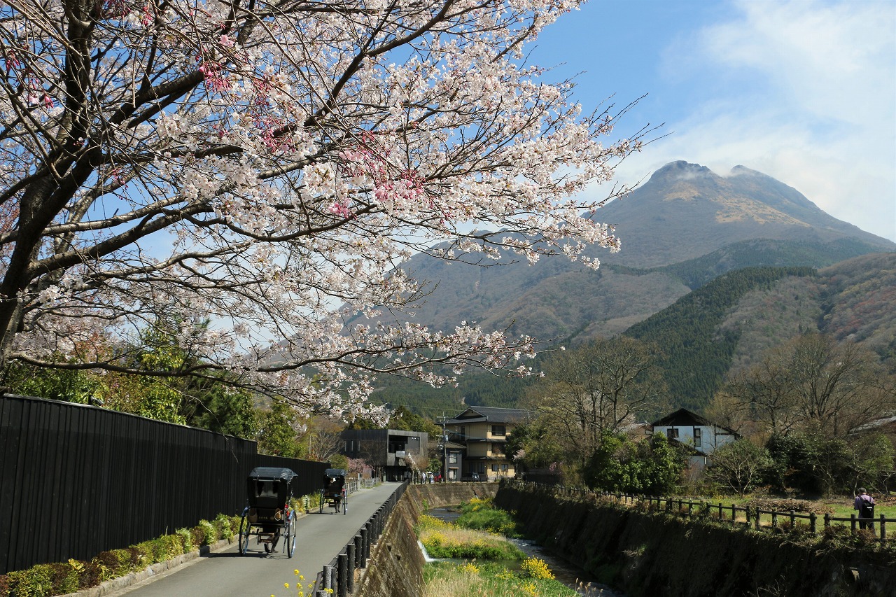 大分_由布院温泉（湯布院）_遊び・体験_1