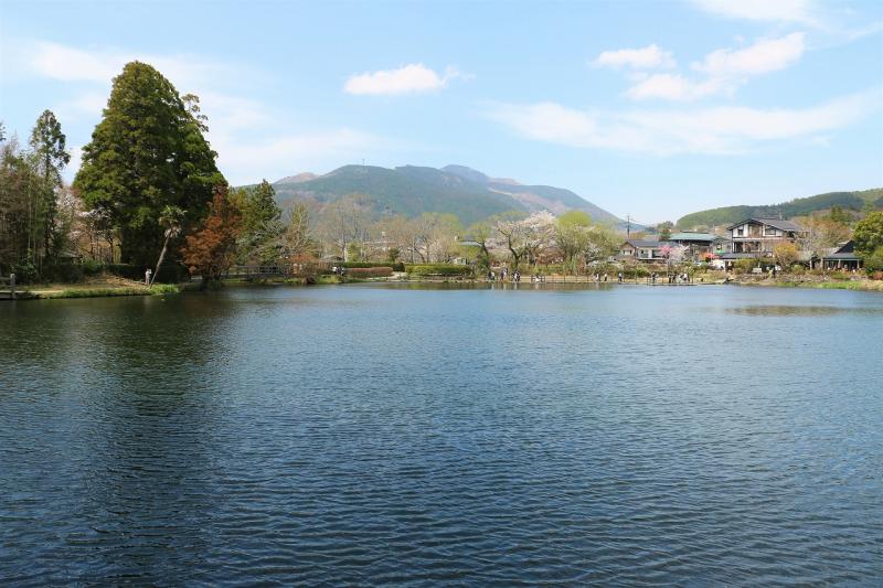 大分_由布院温泉（湯布院）_遊び・体験_2