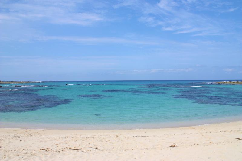 鹿児島_奄美大島_遊び・体験_2