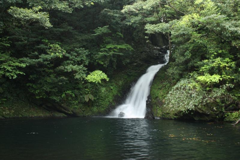 鹿児島_奄美大島_遊び・体験_4