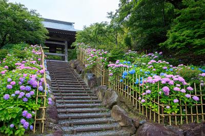 福岡_呑山観音寺_遊び・体験_1