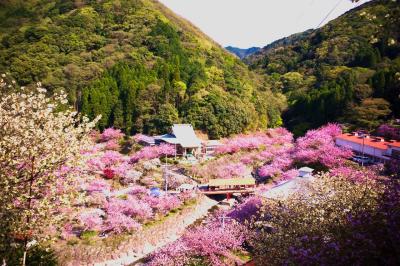 大分県_不動尊一心寺_遊び・体験_1