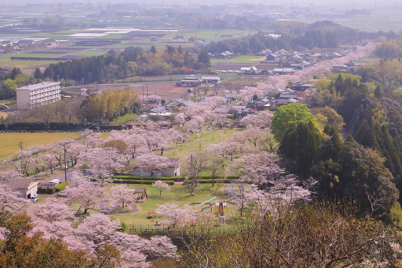 宮崎県_母智丘公園_遊び・体験_1