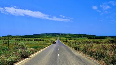 鹿児島県_サトウキビ畑の一本道_遊び・体験_1