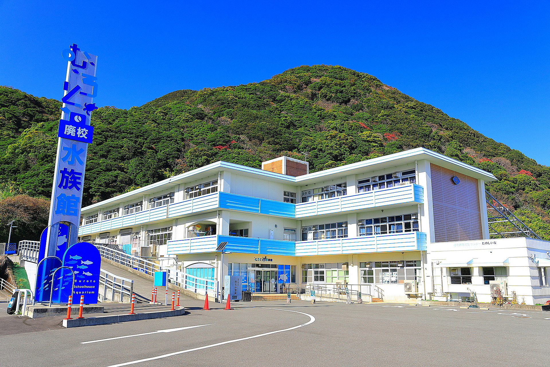 高知県_むろと廃校水族館_遊び・体験_1