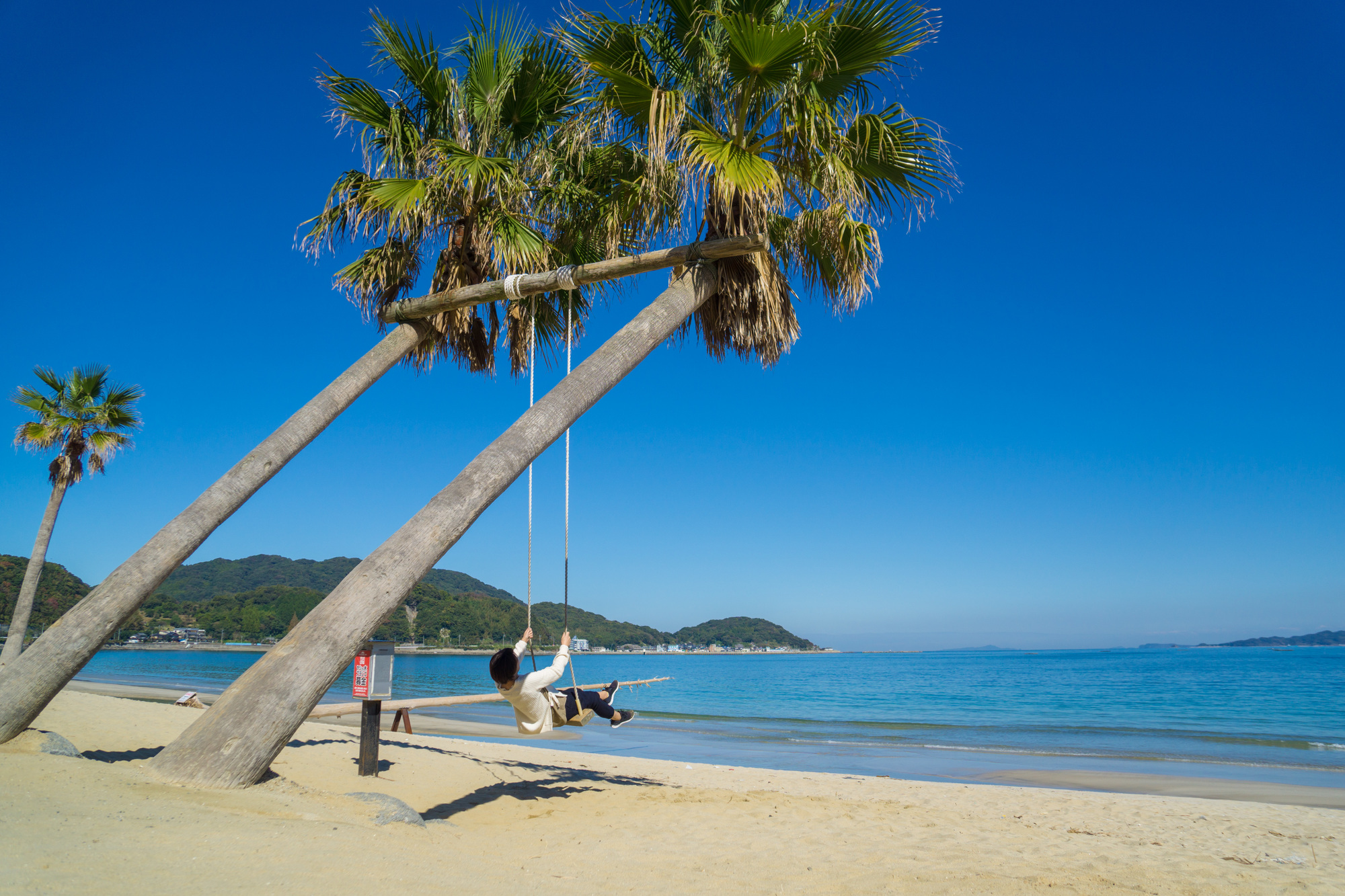 福岡県_ヤシの木ブランコ_遊び・体験_1