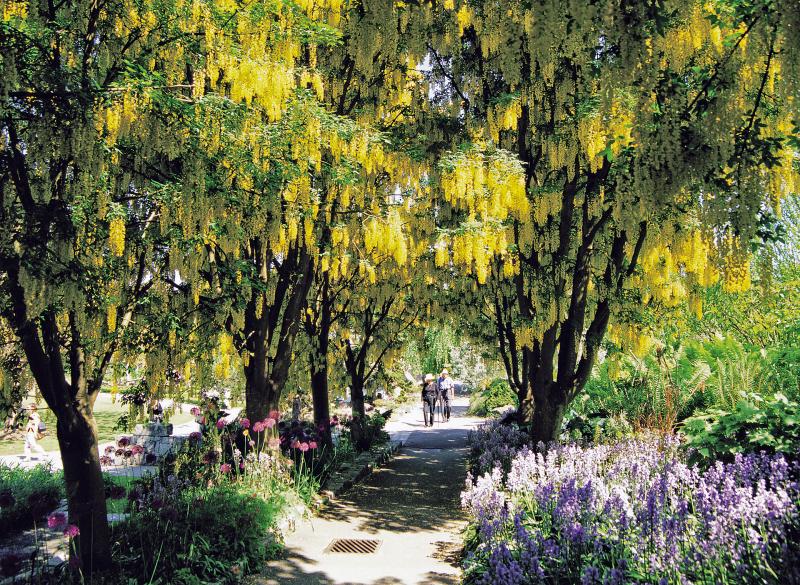 カナダ_バンデューセン植物園_遊び・体験_1