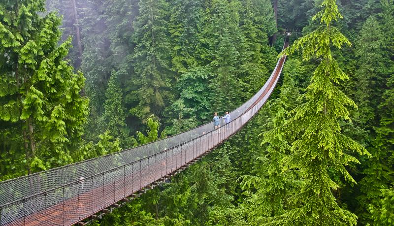 カナダ_キャピラノ渓谷吊り橋_遊び・体験_1