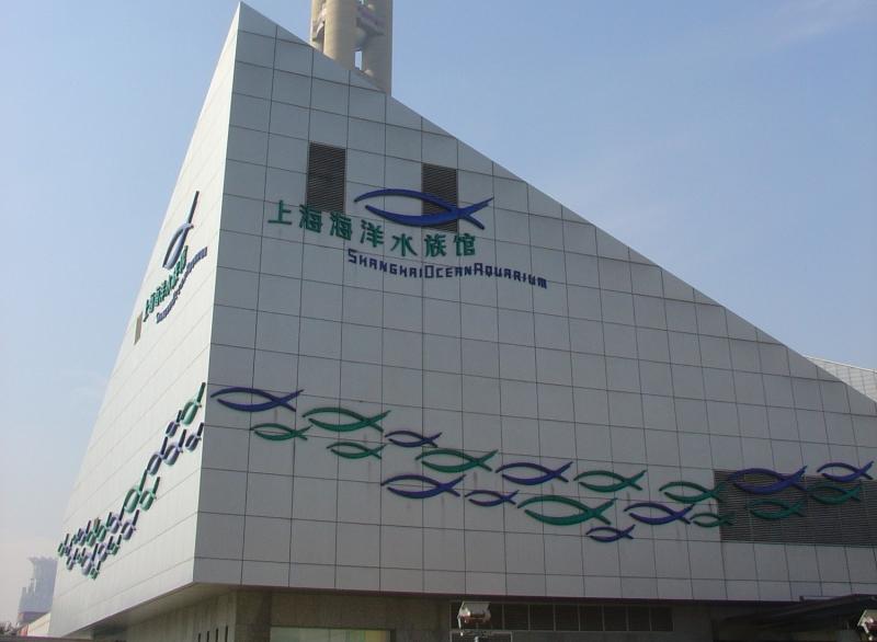 中国_上海海洋水族館_遊び・体験_1