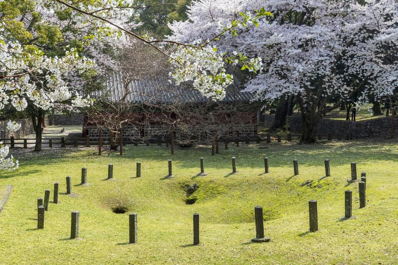 韓国_三姓穴_遊び・体験_1