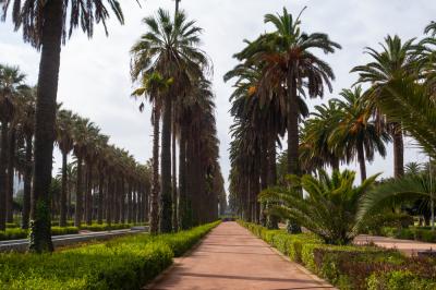 モロッコ_アラブリーグパーク_遊び・体験_1