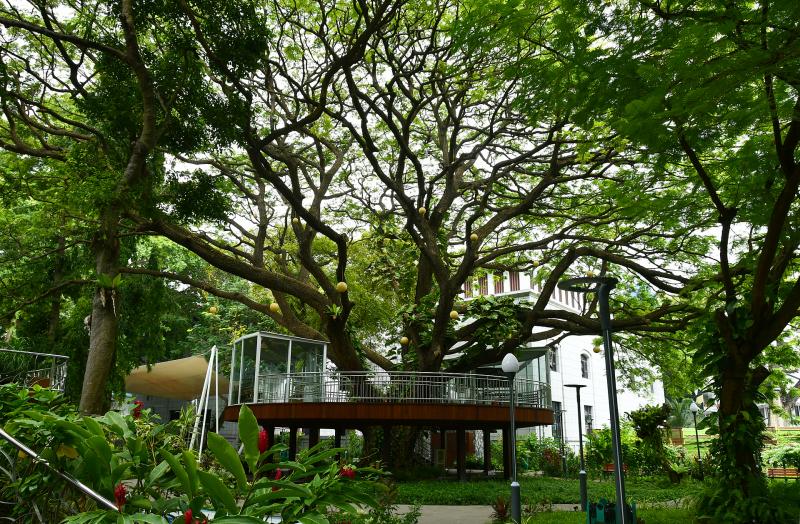 モルディブ_スルタン パーク_遊び・体験_1