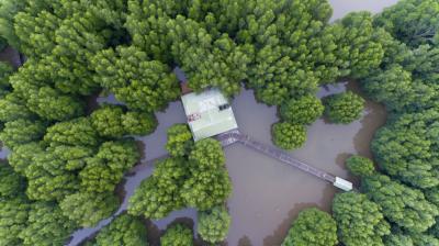 マレーシア_コタキナバル ウエットランド_遊び・体験_1