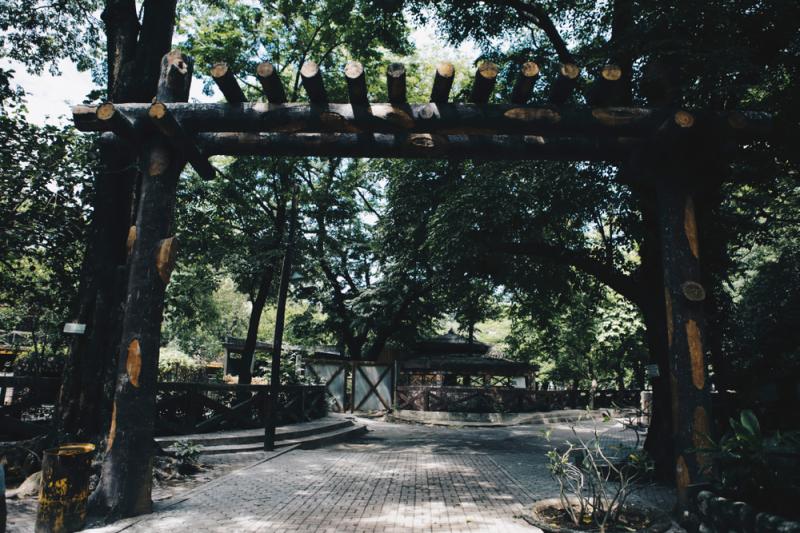 フィリピン_マニラ動物園_遊び・体験_1