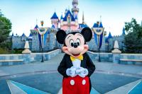 ディズニーランドパーク