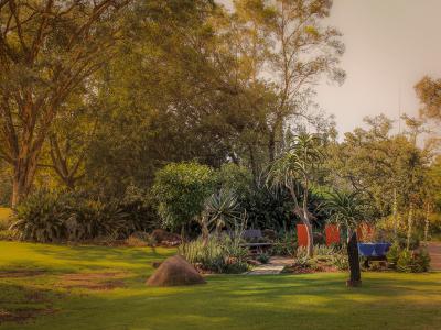 南アフリカ共和国_プレトリア国立植物園_遊び・体験_1